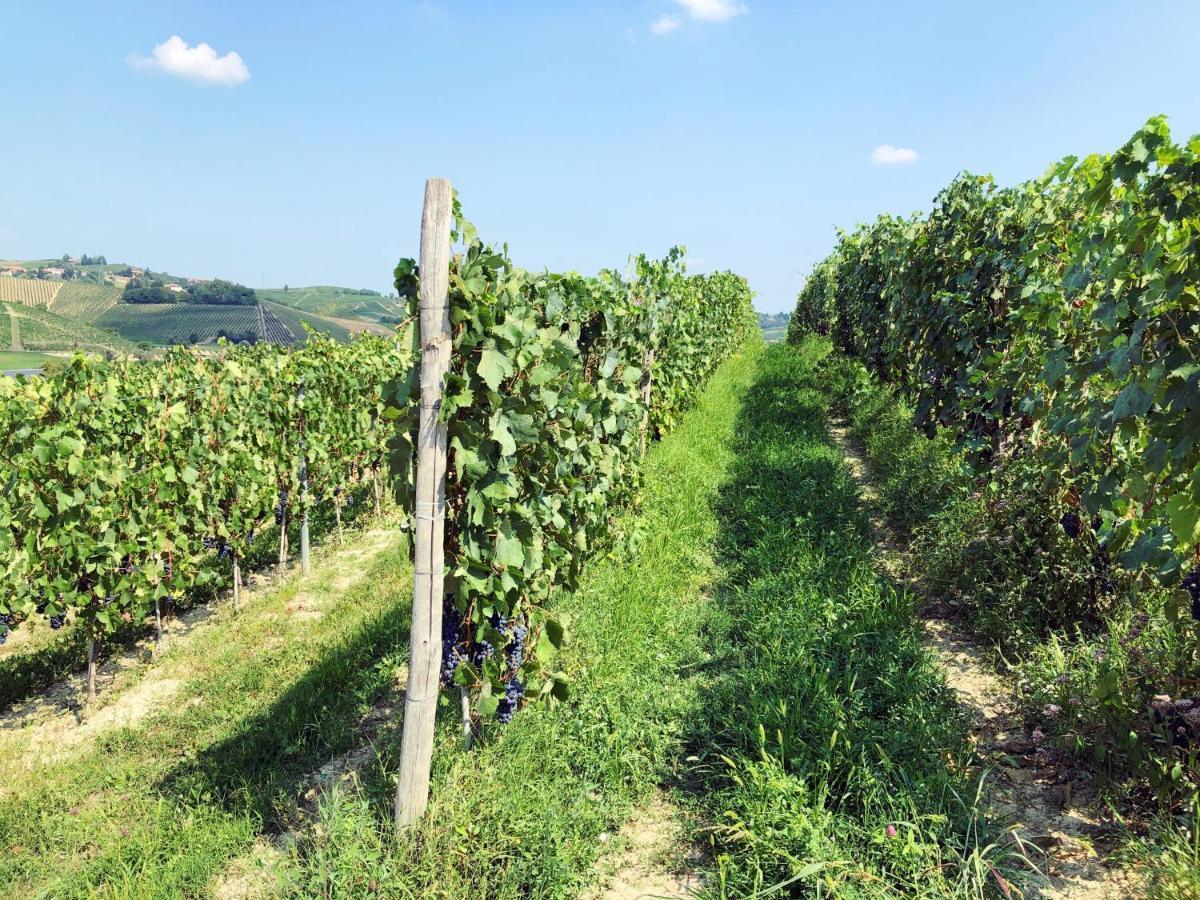 Agriturismo La Mussia 카스텔누오보 외부 사진