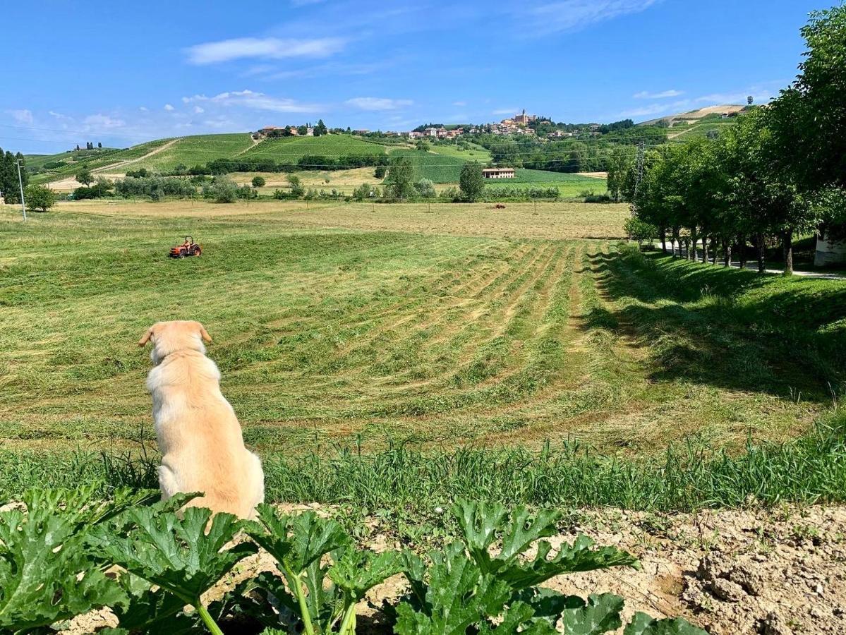 Agriturismo La Mussia 카스텔누오보 외부 사진
